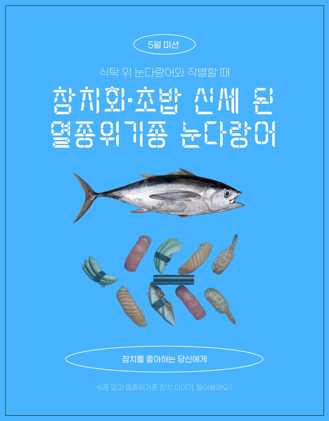 Endangered species of 'bigeye tuna' with tuna sashimi and sushi Campaigns PUBLISH Alliance